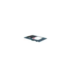 LTE Module