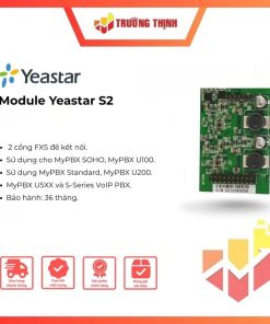 Module Yeastar S2