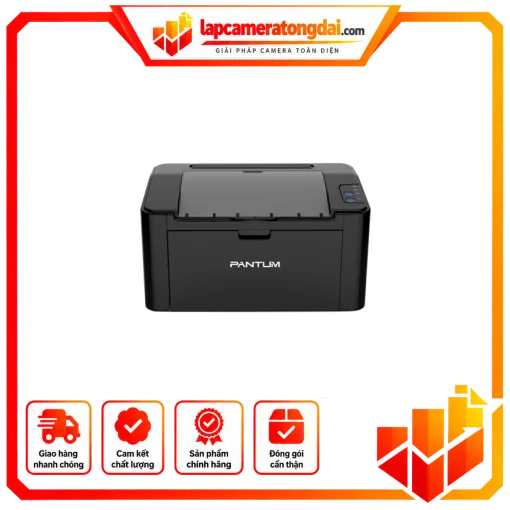 Máy in laser đơn chức năng Pantum P2505
