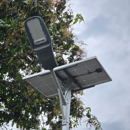 ĐÈN NLMT JD Z1000 (1000W) PRO + TAY ĐÈN – Z1000PRO