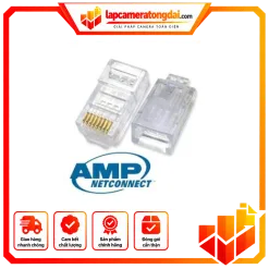 HẠT MẠNG AMP CAT6