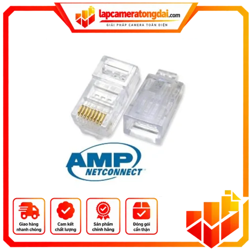 HẠT MẠNG AMP CAT6