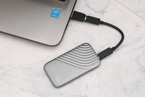 SSD WD 1TB My Passport (WDBAGF0010)- tặng túi đựng